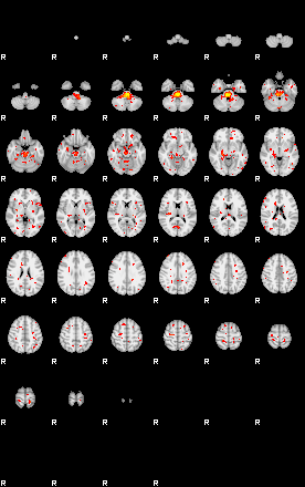 Patient:42;component:32