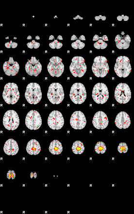 Patient:42;component:37