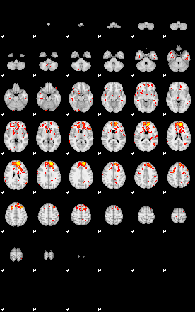 Patient:42;component:44