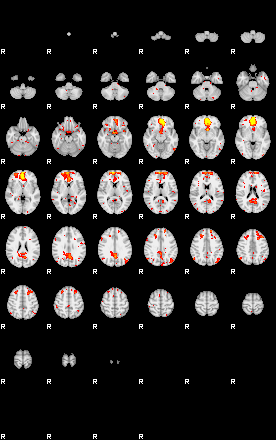 Patient:42;component:49