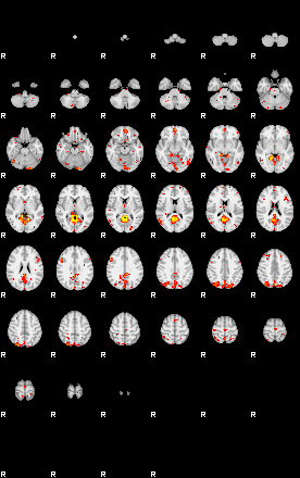 Patient:42;component:5