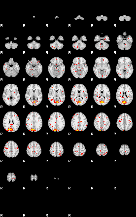 Patient:42;component:53