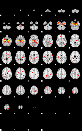 Patient:42;component:59