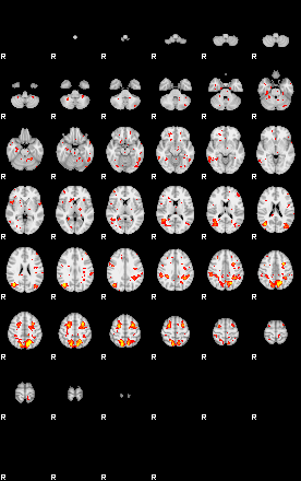 Patient:42;component:65