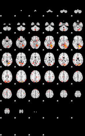 Patient:42;component:69