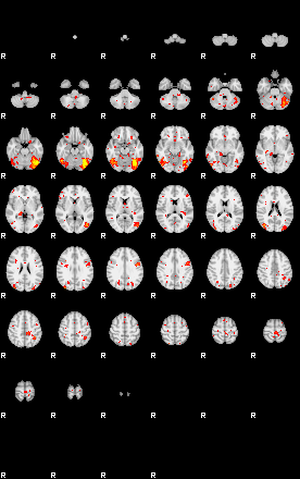 Patient:42;component:73