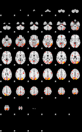 Patient:42;component:80