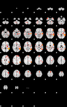 Patient:42;component:9