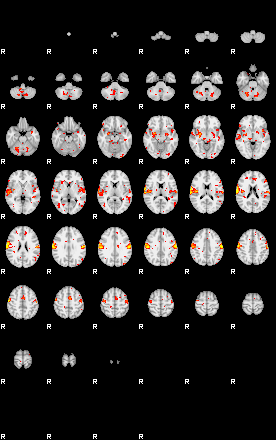 Patient:42;component:96