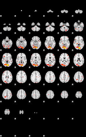 Patient:43;component:102