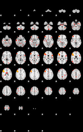 Patient:43;component:119