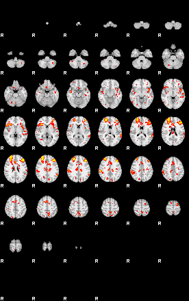 Patient:43;component:146