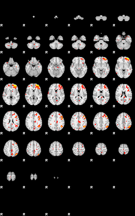 Patient:43;component:149