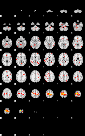 Patient:43;component:67