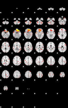 Patient:44;component:113