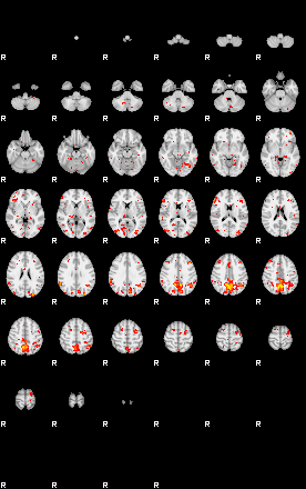 Patient:44;component:118