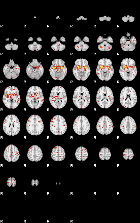 Patient:44;component:159