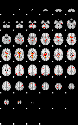 Patient:44;component:167