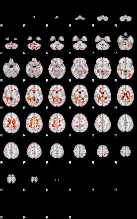 Patient:45;component:134