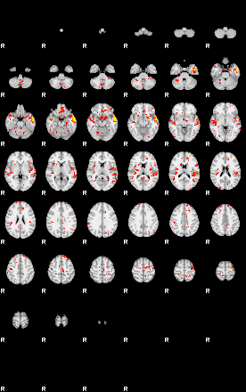 Patient:45;component:137