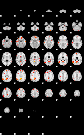 Patient:45;component:142