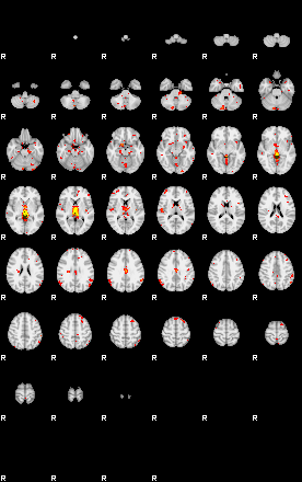 Patient:45;component:167