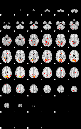 Patient:45;component:181