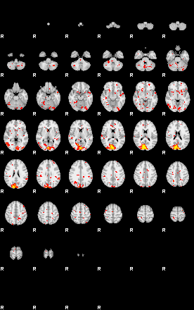 Patient:46;component:102