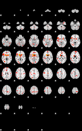 Patient:46;component:112