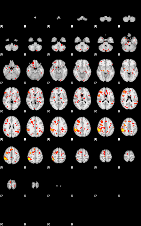 Patient:46;component:138