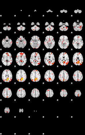 Patient:46;component:157