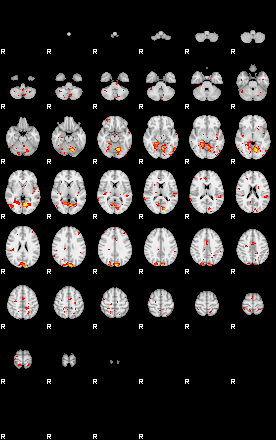 Patient:46;component:181