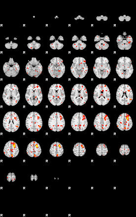 Patient:46;component:23