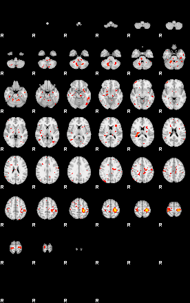 Patient:47;component:104