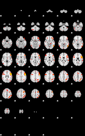 Patient:47;component:109