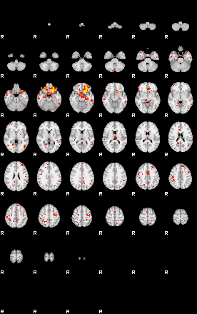 Patient:47;component:113