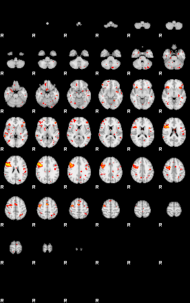 Patient:47;component:119