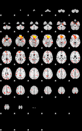 Patient:47;component:144