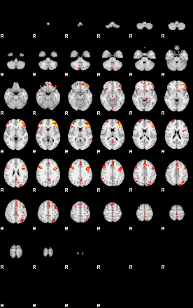 Patient:47;component:149