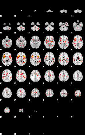 Patient:47;component:151