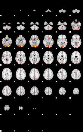 Patient:47;component:171