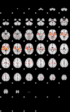 Patient:47;component:186