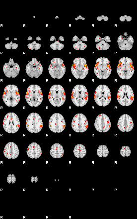 Patient:47;component:195