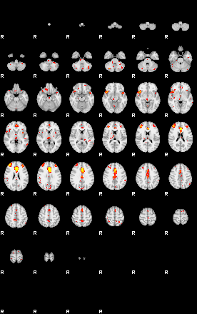 Patient:47;component:81