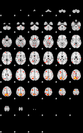 Patient:47;component:91