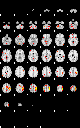 Patient:48;component:101