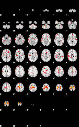 Patient:48;component:104