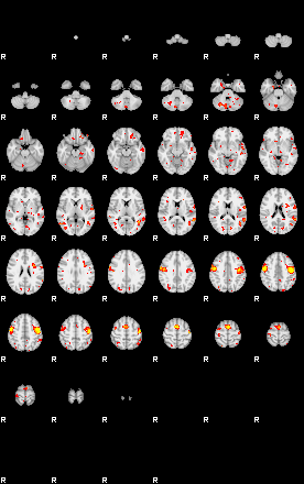 Patient:48;component:123