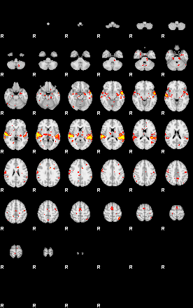 Patient:48;component:140