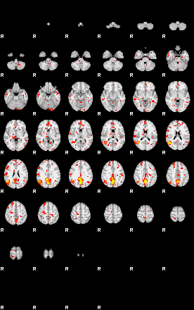 Patient:48;component:142